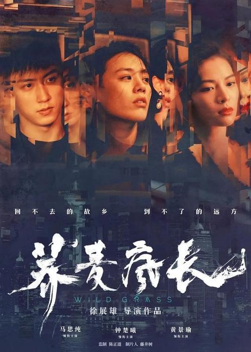 塞布鲁克大学文凭毕业证怎么制作